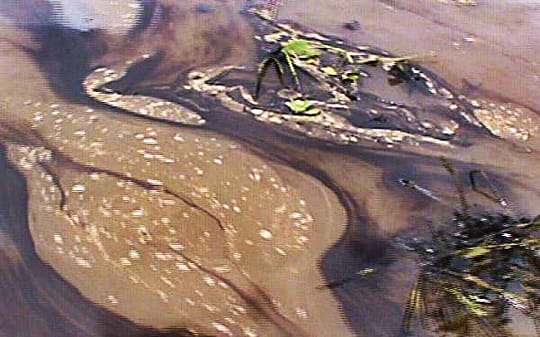 El petróleo se apodera del agua en el río Napo / Foto: El Comercio